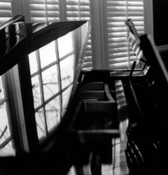 Film  Photography